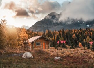 Comment construire efficacement une cabane en bois ?